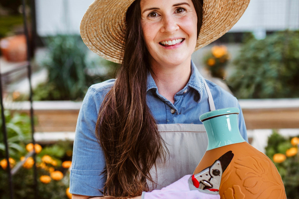Best Olla Pots for Raised Beds: Sizing, Spacing & Setup Guide