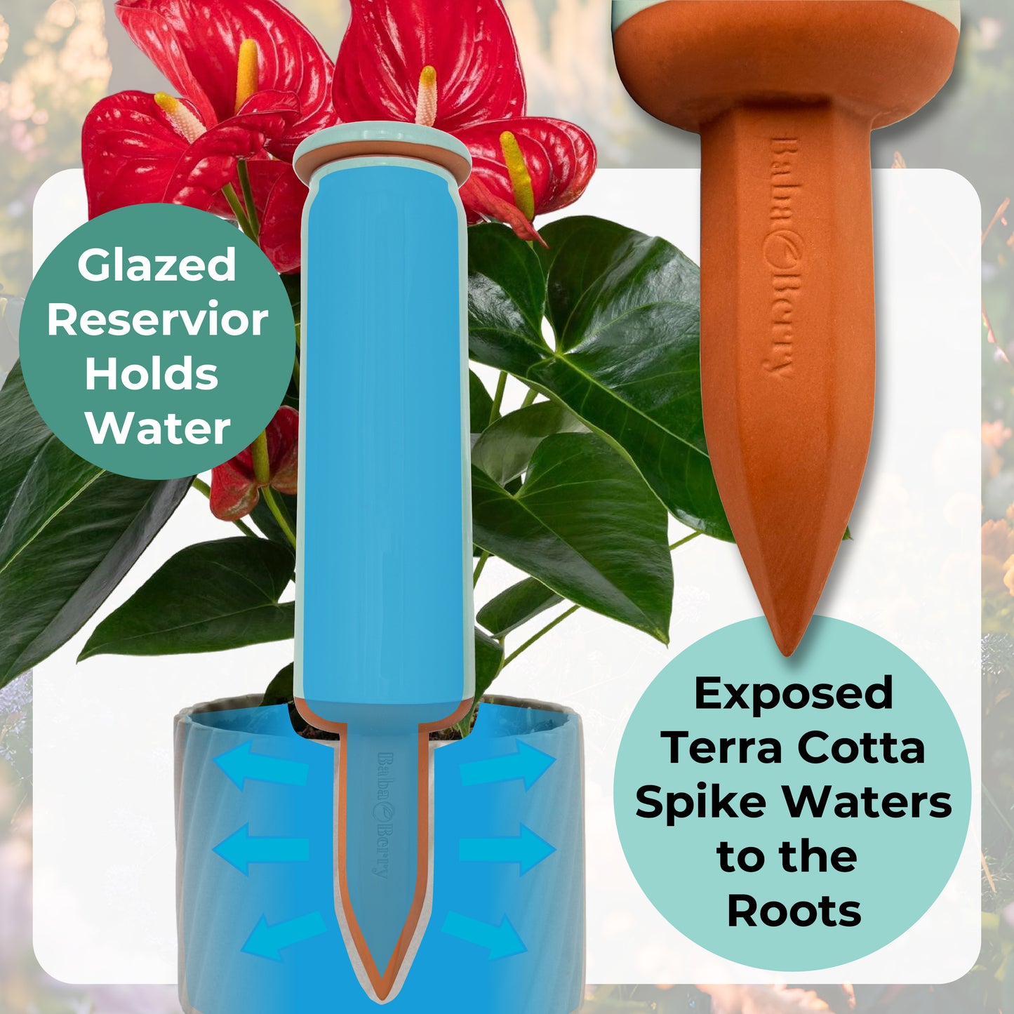 AcquaTerra Terracotta Watering Spikes
