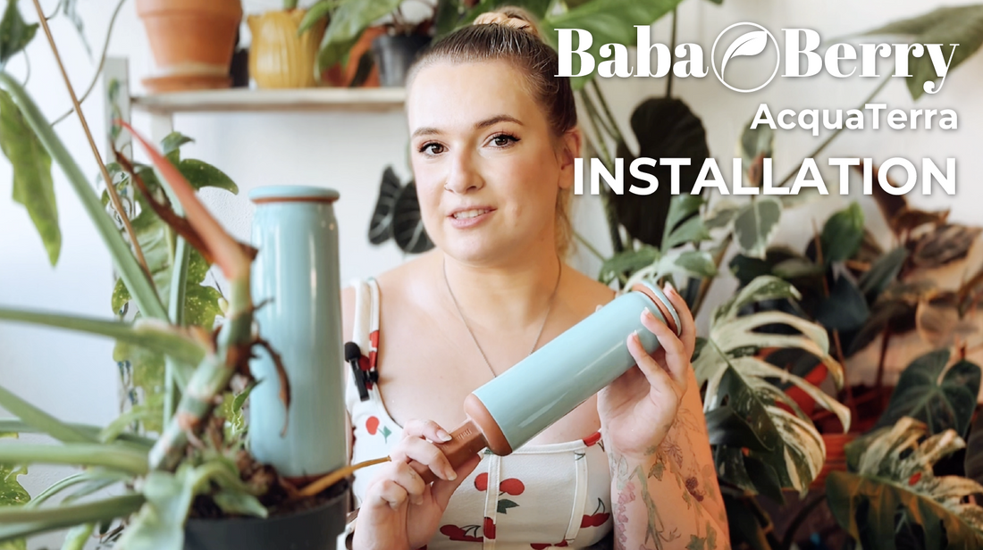 How to Install AcquaTerra Terra Cotta Watering Spikes — Step-by-Step Setup