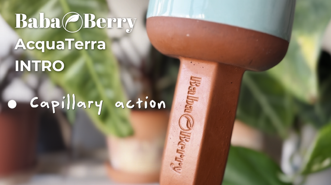 Meet AcquaTerra: The Terra Cotta Spike That Waters Plants Automatically