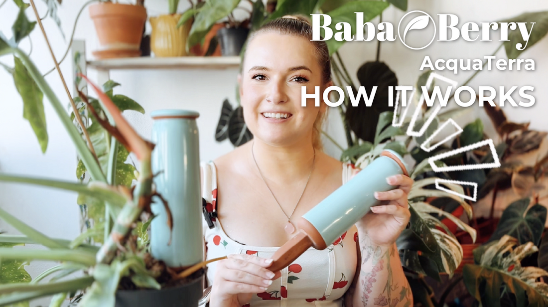 These Terra Cotta Watering Spikes Water Your Plants for You (Set It and Forget It)