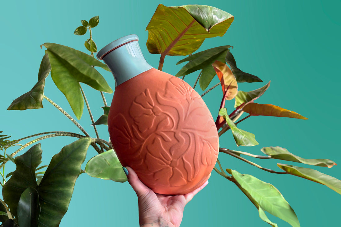 Terracotta Watering Spikes Explained: How They Actually Keep Plants Alive While You’re Away