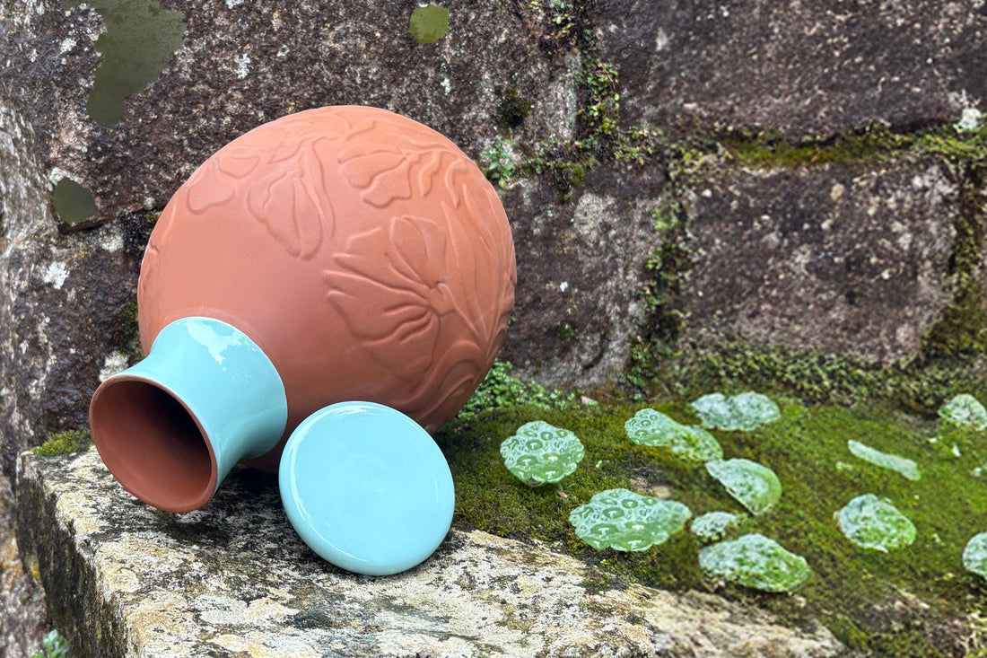 How Do Terracotta Plant Watering Spikes Work? The Science Behind Slow-Release Irrigation