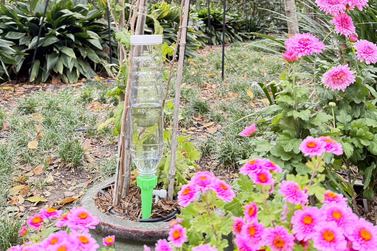 Self Watering Globes vs Drip Spikes: Which Is Better?