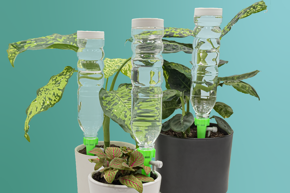 Plant Watering Devices for Outdoor Potted Plants: Summer Guide