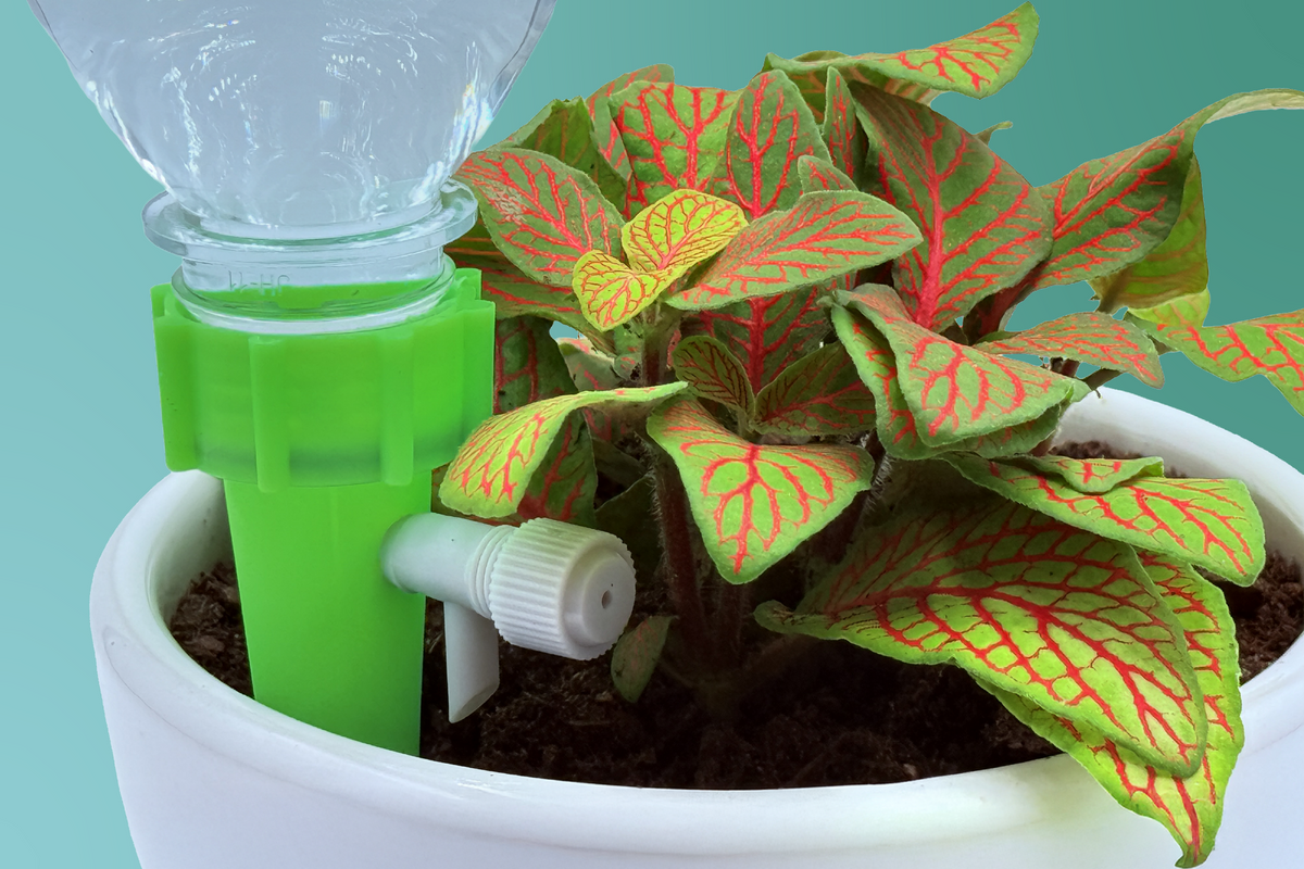 Automatic Plant Watering System Indoor for Renters