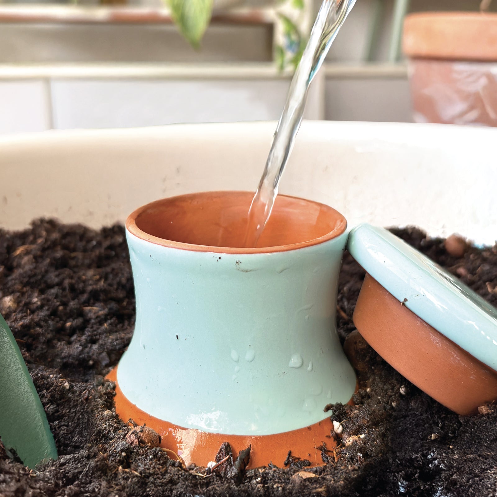 Acqua Olla Self Watering Olla Oya Watering Device