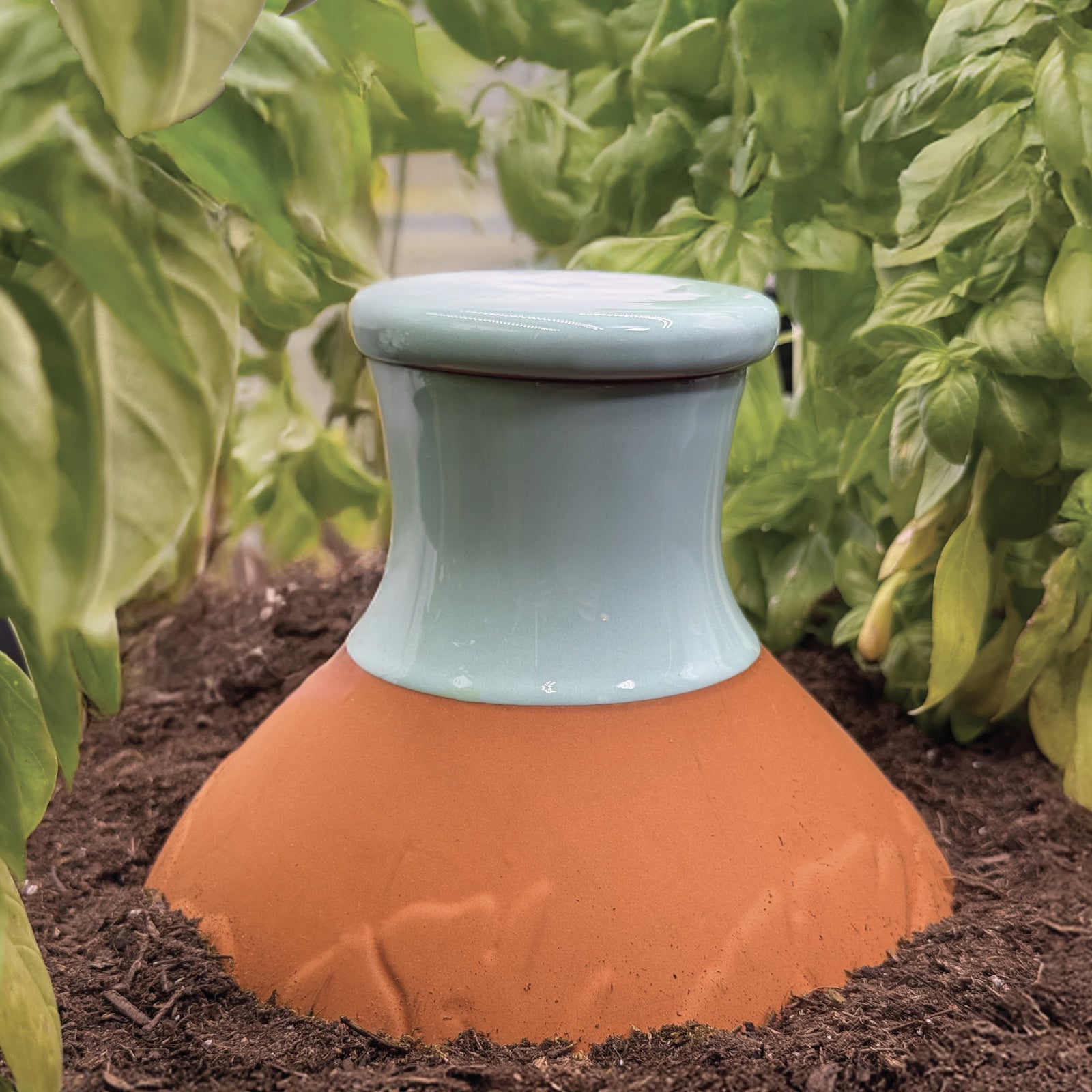 Acqua Olla Self Watering Olla Oya Watering Device
