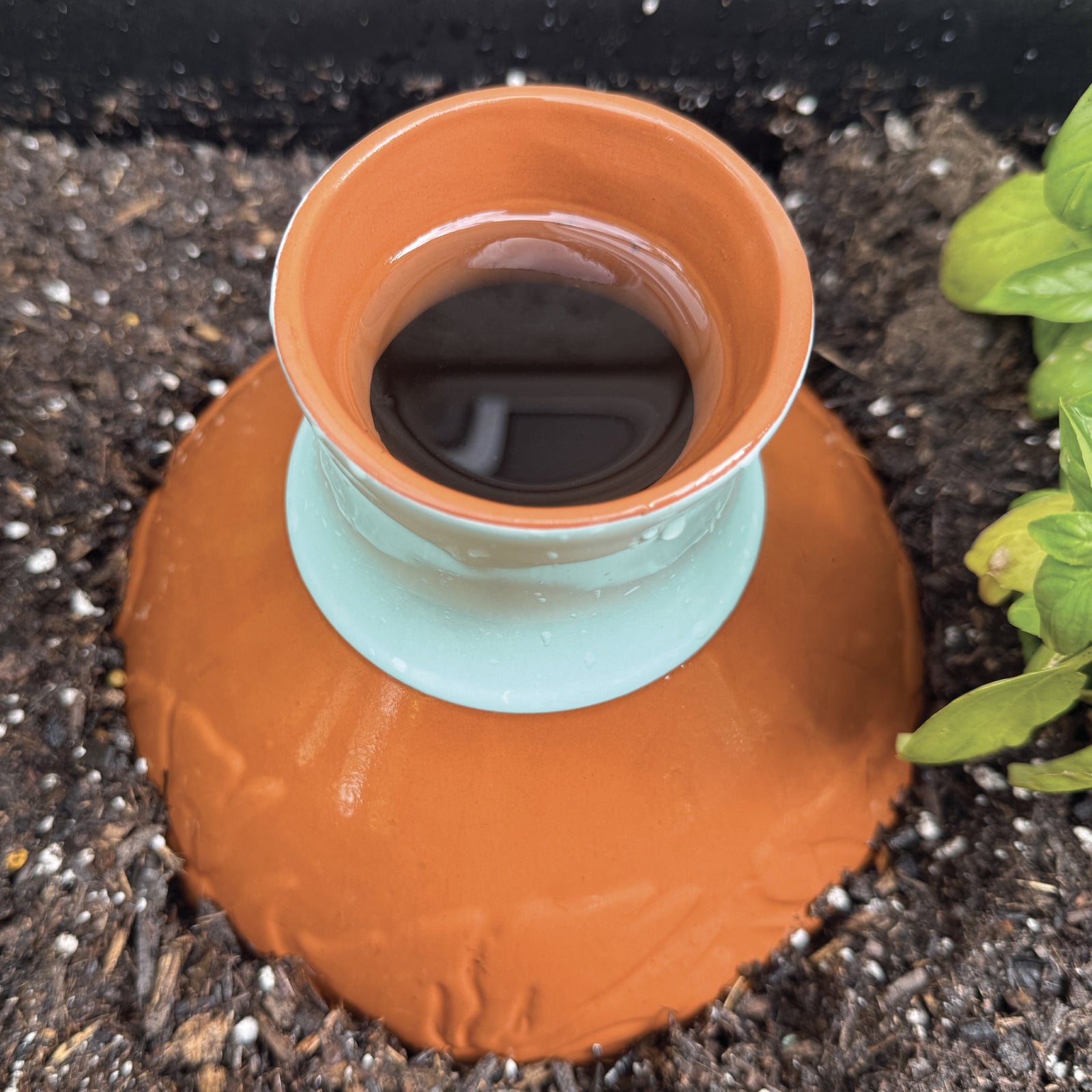Acqua Olla Self Watering Olla Oya Watering Device