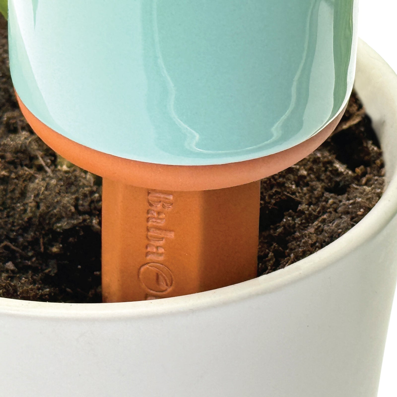 Acqua Terra Terra Cotta Watering Spikes