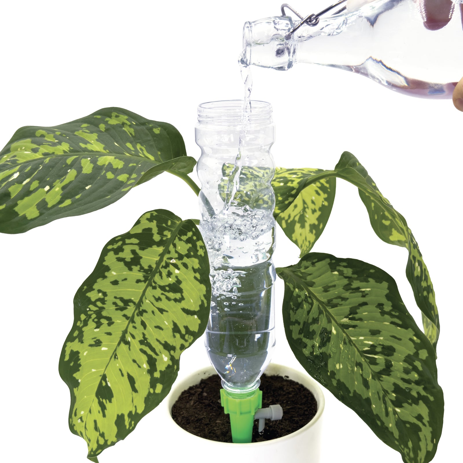 Dynamic Dripper Self Watering Planter insert in a pot easy refill