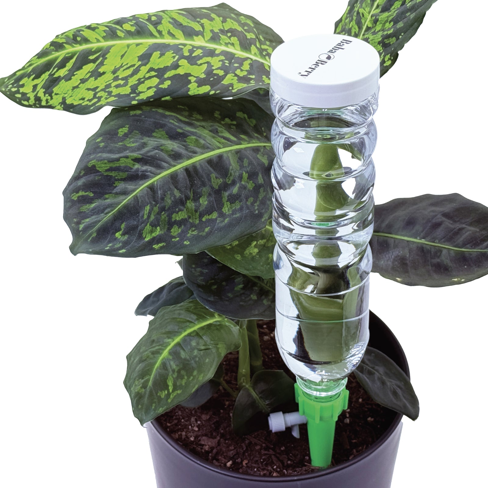 Dynamic Dripper Self Watering Planter insert in a pot from above