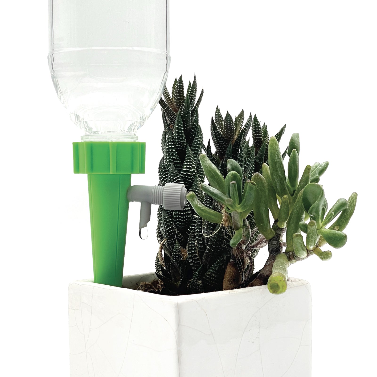 Dynamic Dripper Self Watering Planter insert in a pot dripping