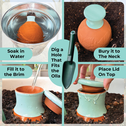 Acqua Olla XXL Oya For Watering Plants 160oz 1.25 Gallon