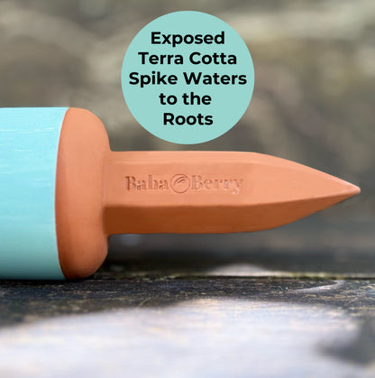 AcquaTerra Terracotta Watering Spikes